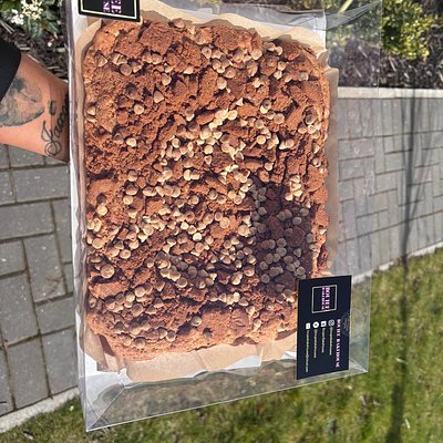 Brownie Slab