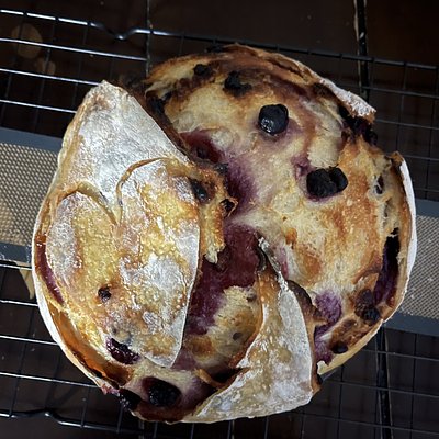 Blueberry Cream Cheese Chip Sourdough 