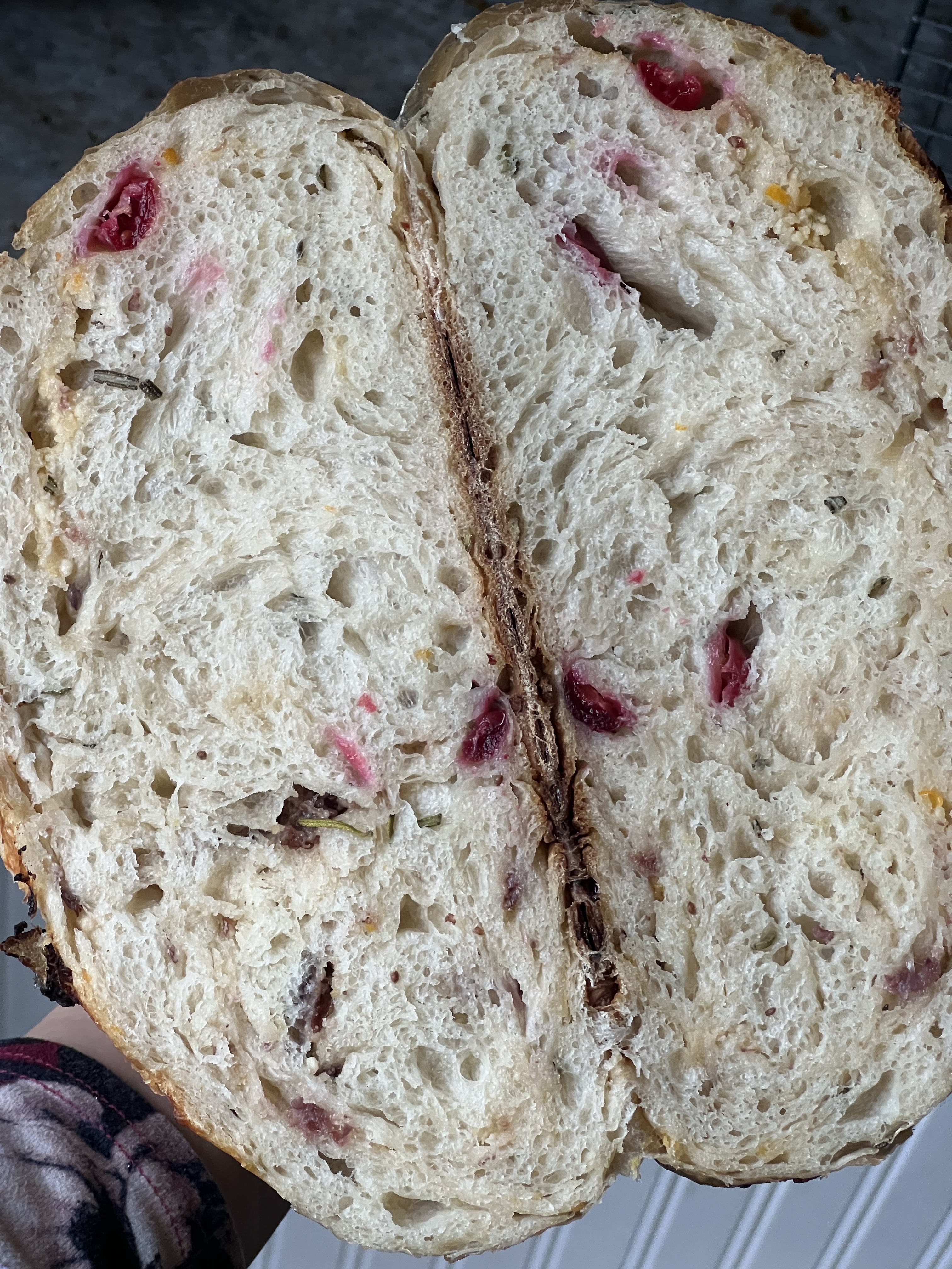 Cranberry • Orange • Rosemary Artisan Sourdough