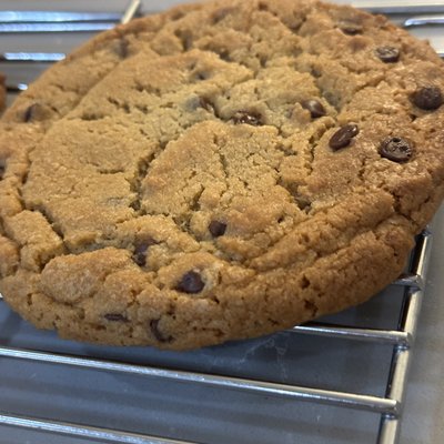 Individual Chocolate Chip Cookies 