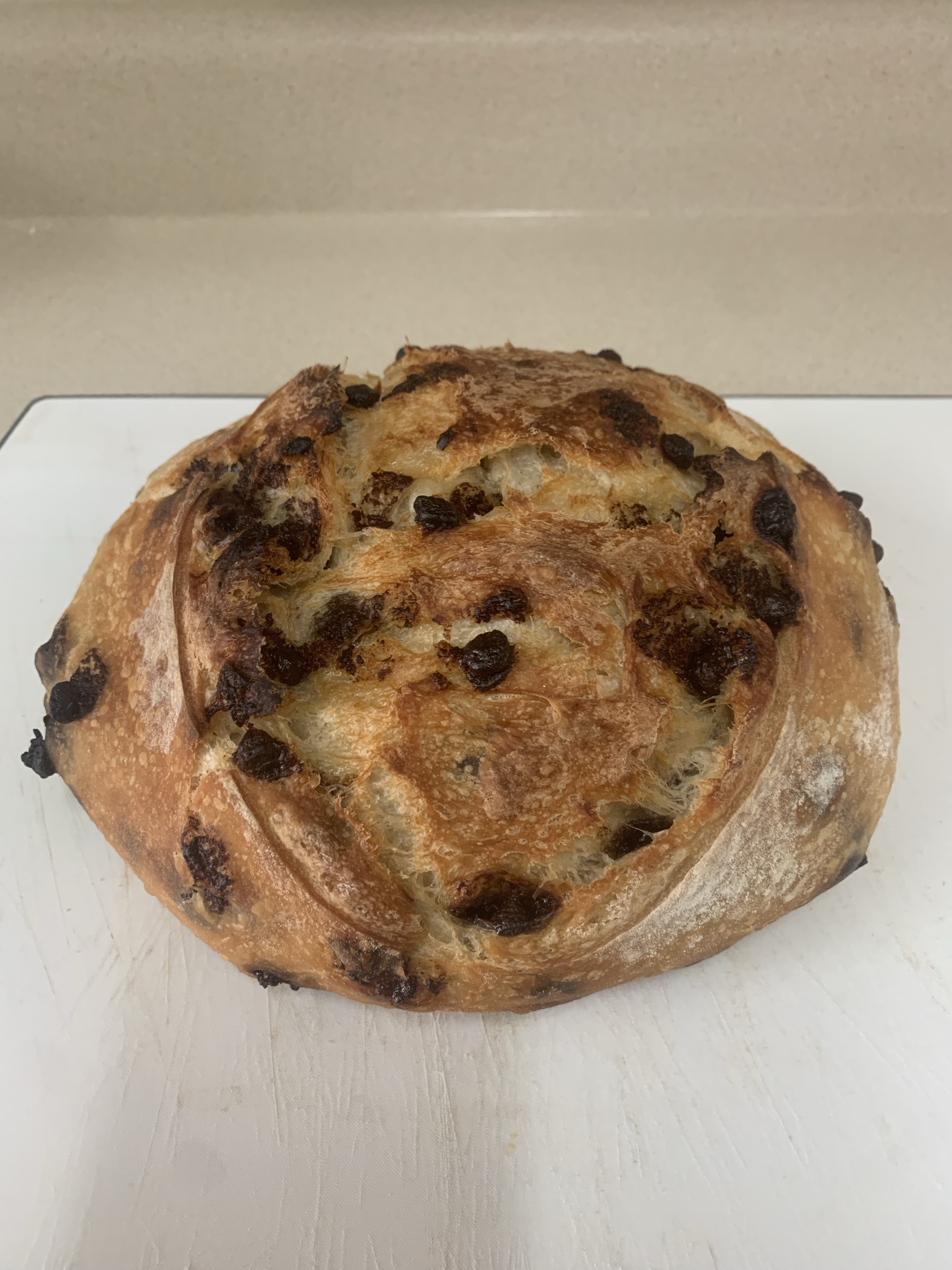 Chocolate Chip 