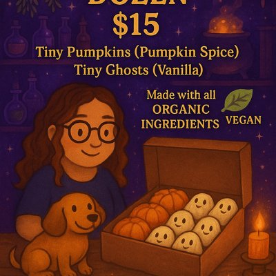 Halloween Themed vegan conchita dozen 