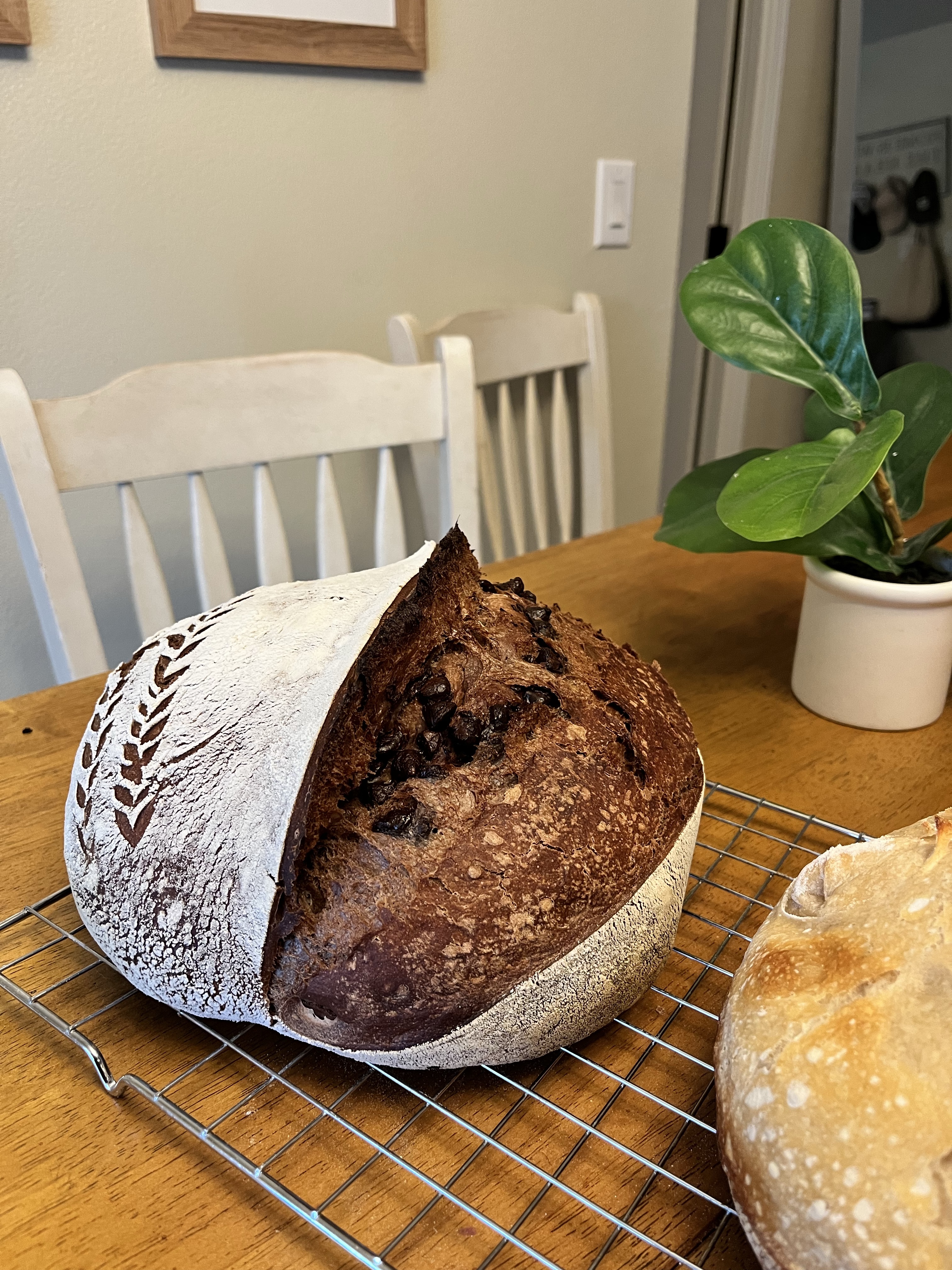 Double Chocolate Chip Sourdough
