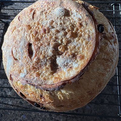 Cinnamon, Sugar & Raisin *Mini*