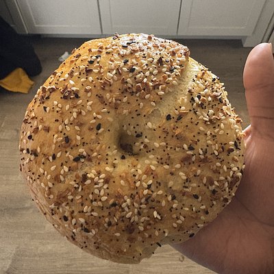 Six (6) Everything Bagels