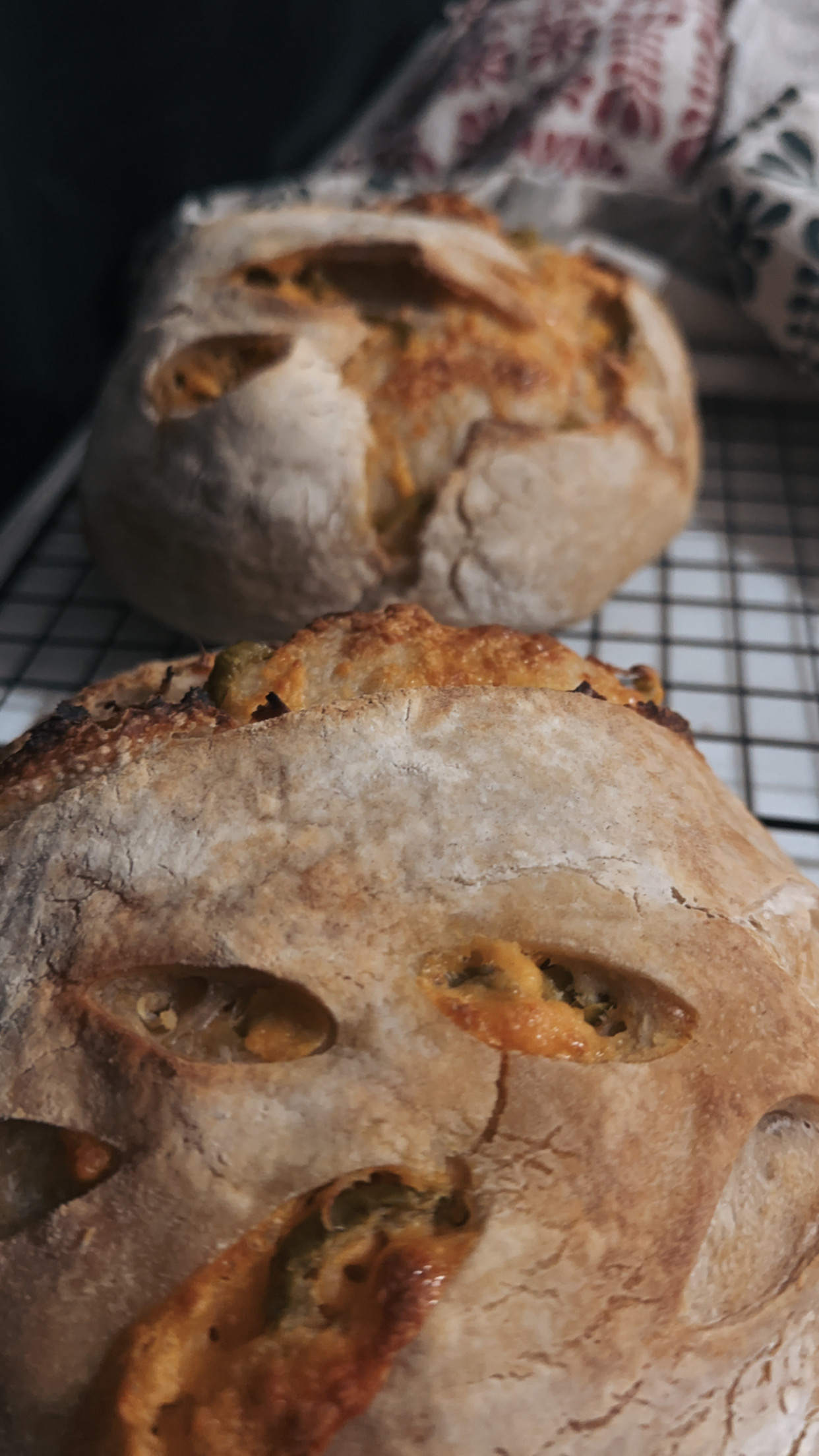 Cheddar/jalapeno Sourdough Loaf