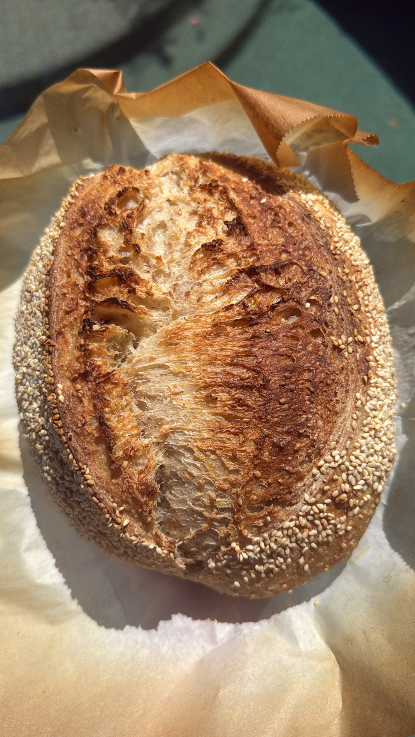 Toasted Sesame Sourdough 
