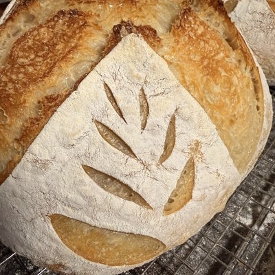 The Haus Loaf | perfectly plain loaf