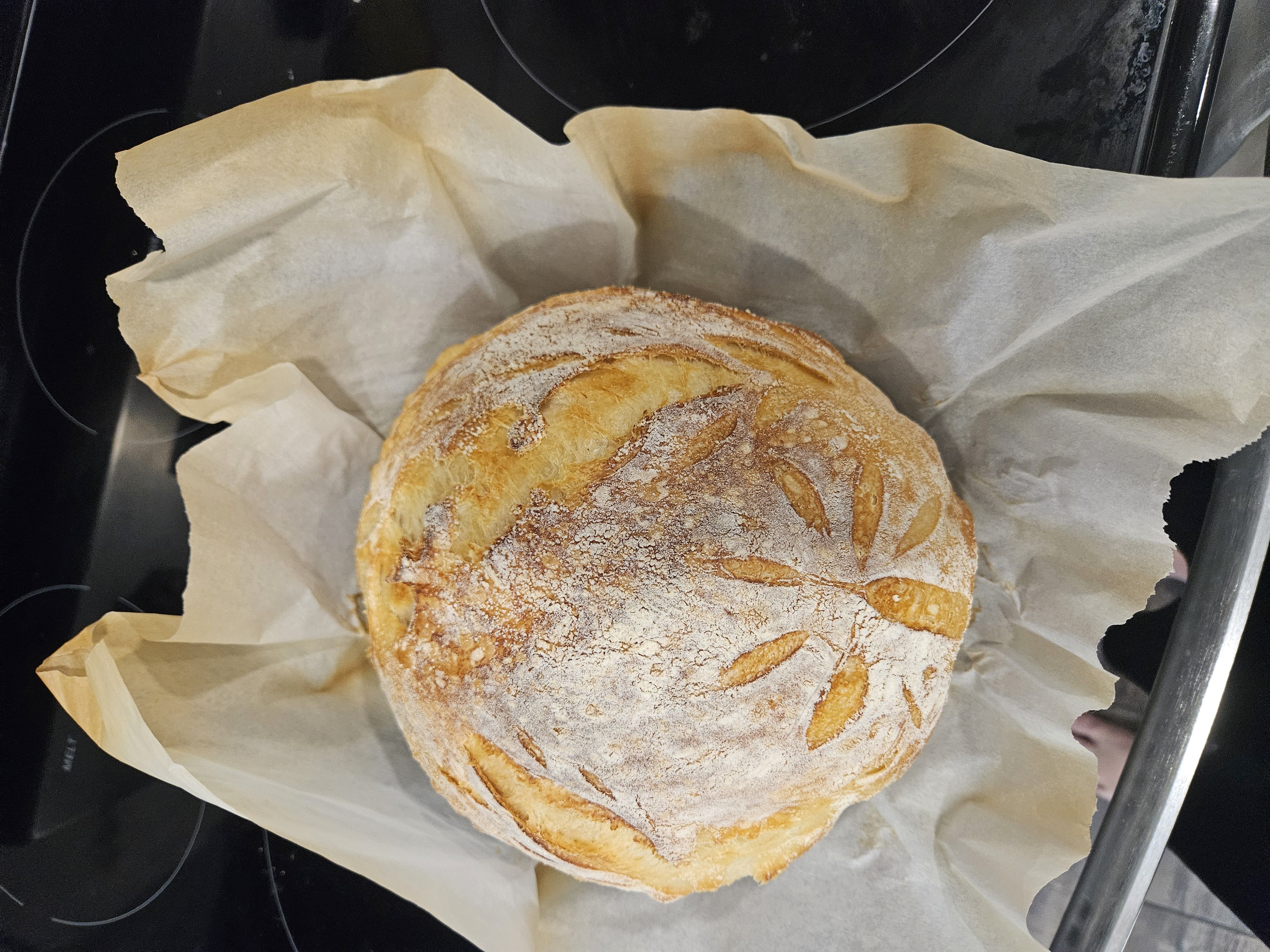 Mini Italian Sourdough Bread Bule