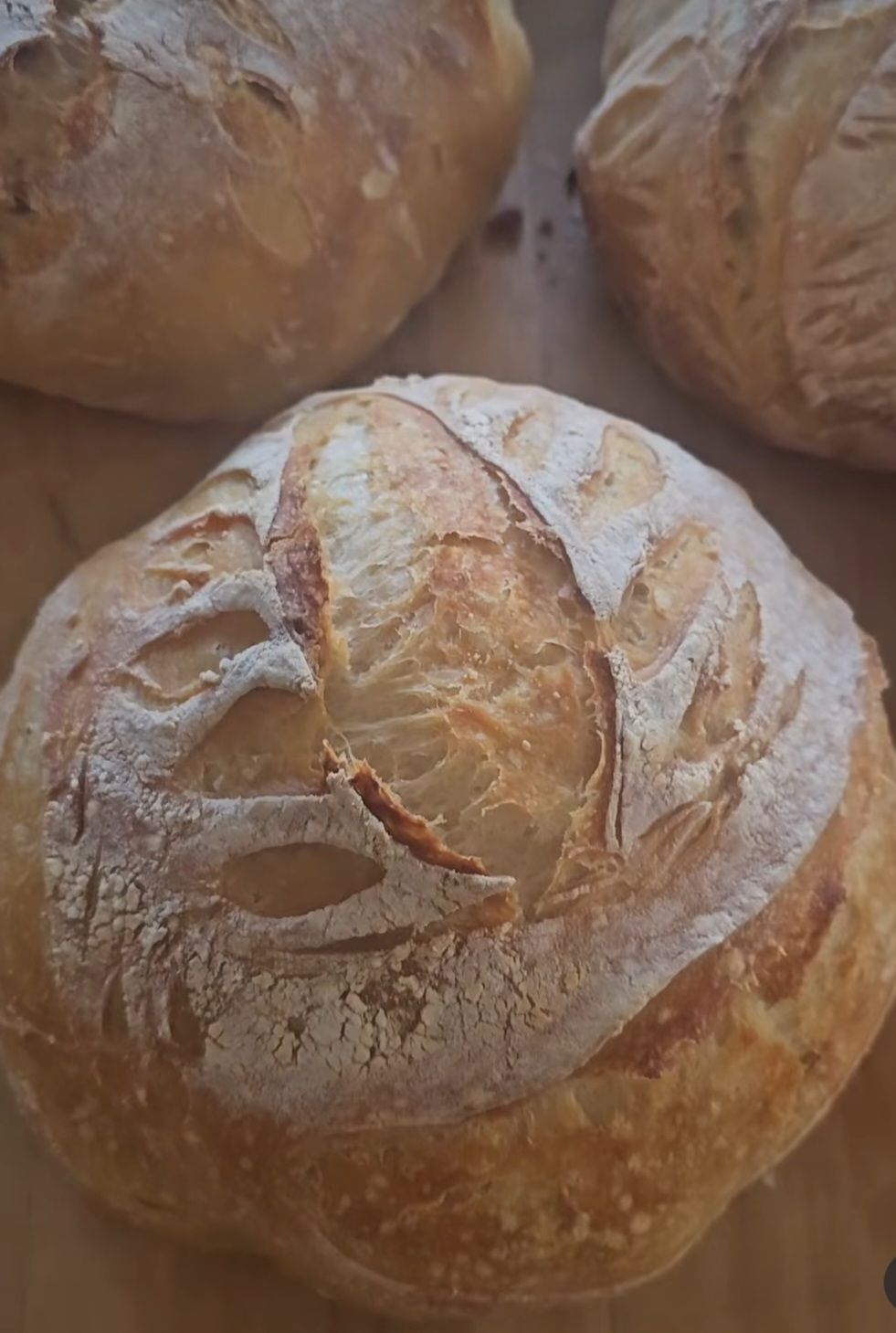 Plain Sourdough Loaf