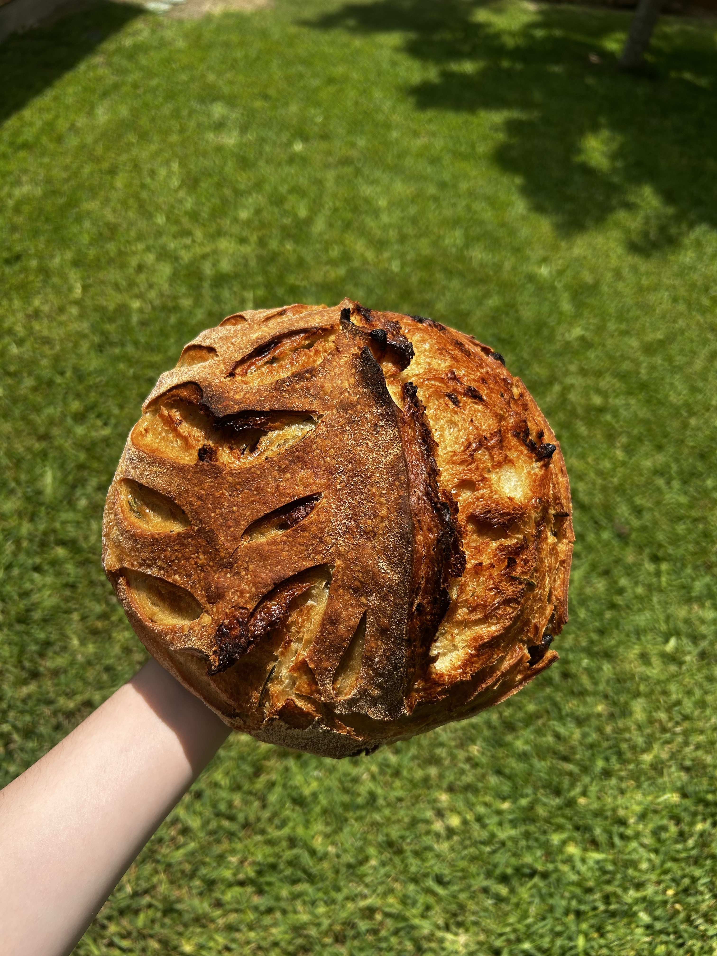 Garlic and Rosemary Sourdough Loaf