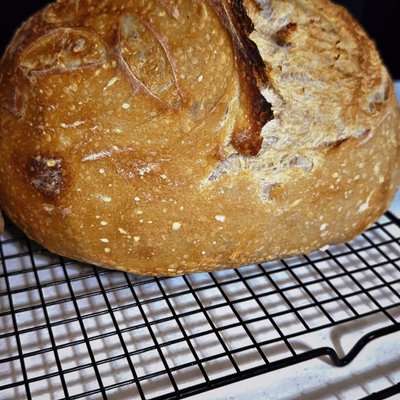 Sourdough Original 