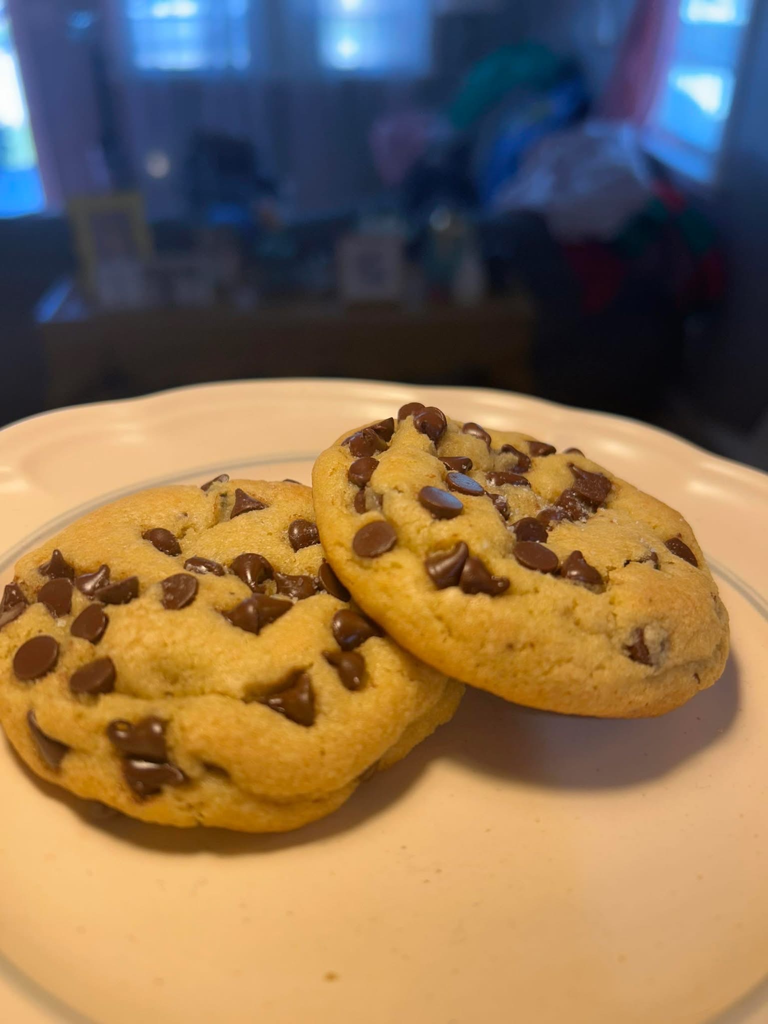 Chocolate Chip Cookies (12)