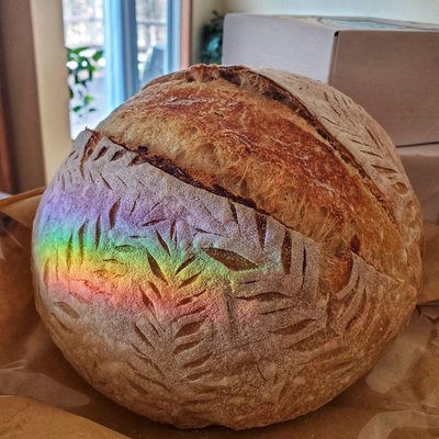Sourdough Artisan Bread (Classic)