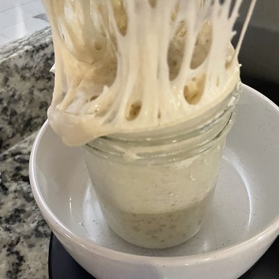 Opal’s Dehydrated Sourdough Starter - Porch Pickup