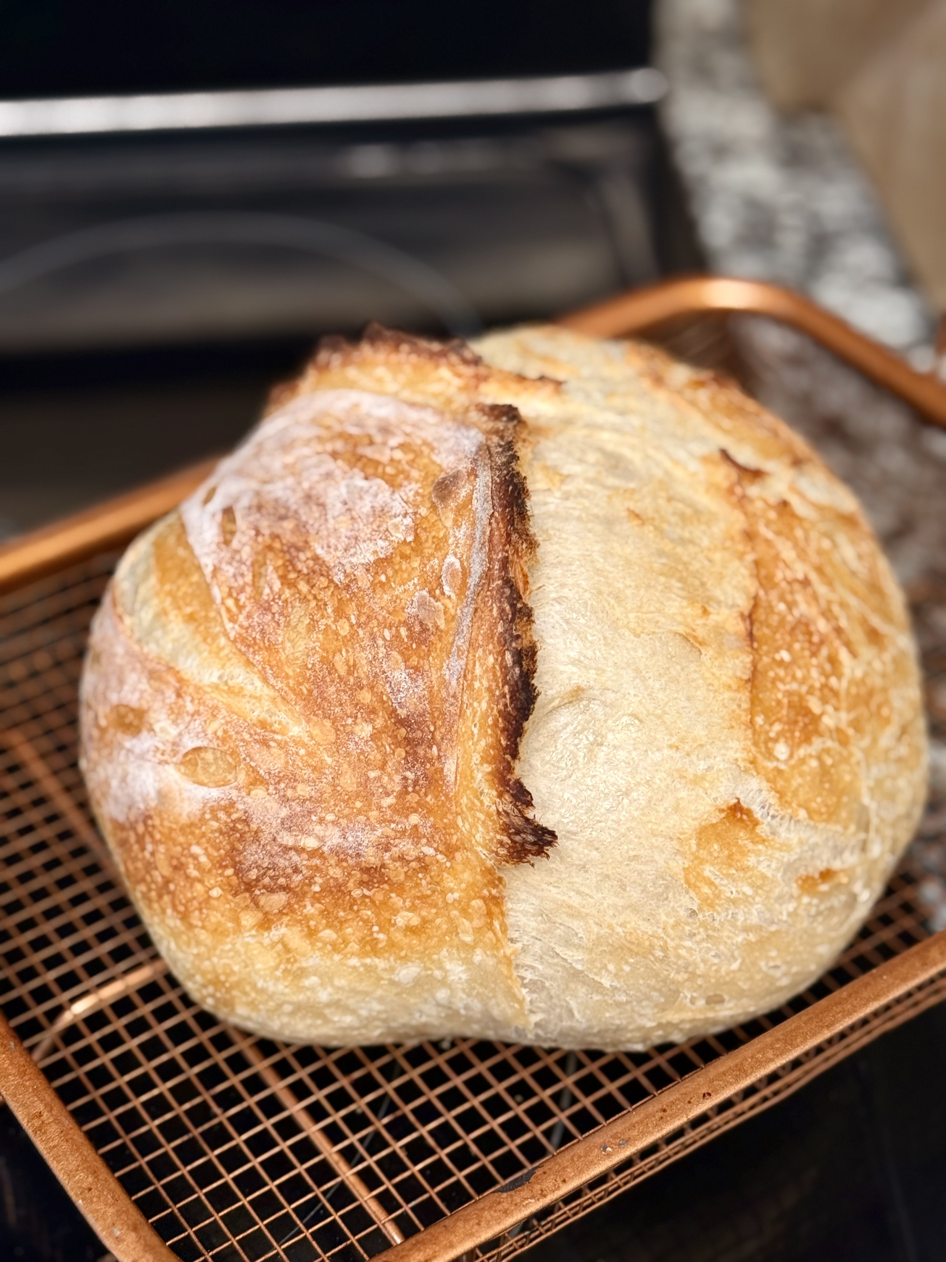 Original Sourdough Loaves
