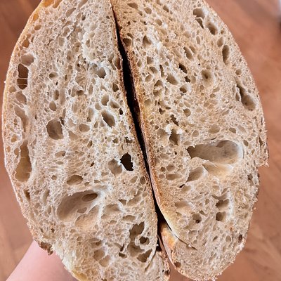 Plain Artisan Sourdough Loaf