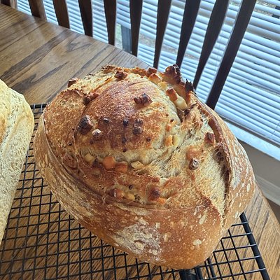 Garlic Asiago Sourdough