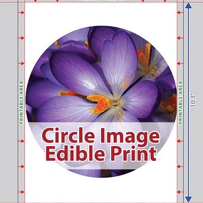  Edible Print – Cake Toppers 