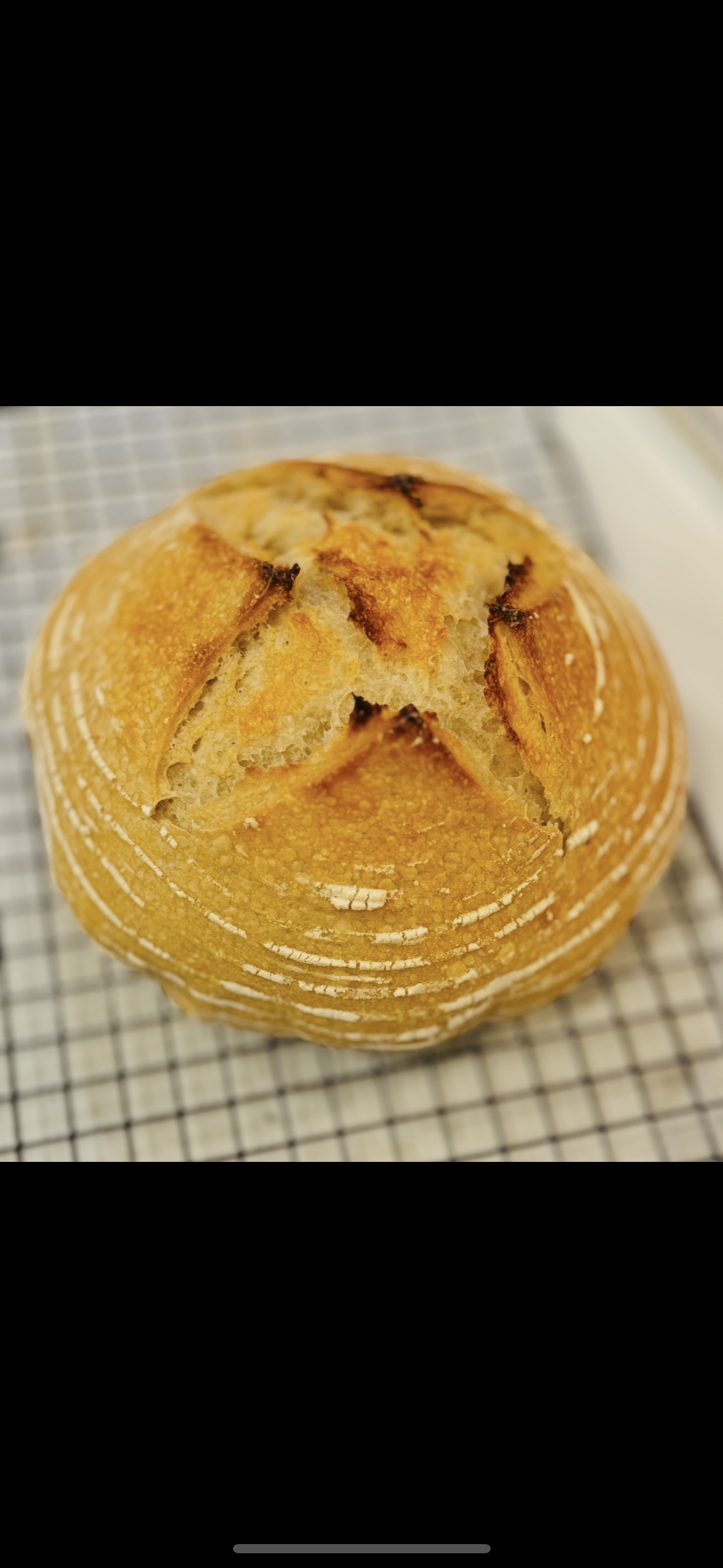 Original sourdough loaf