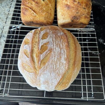 Plain Loaf