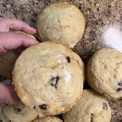 Sourdough Chocolate Chip Muffins 