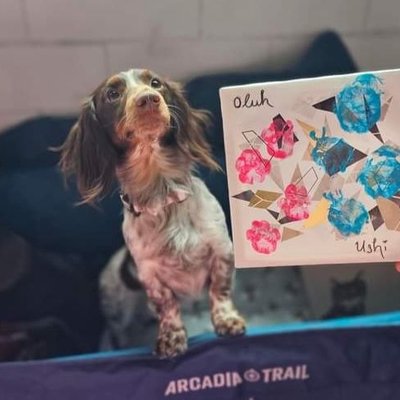 Pawfection Paintings: Small Photo Album(in-person)