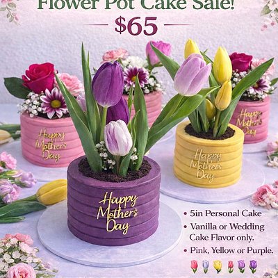 Mother's Day Flower Pot Cake 