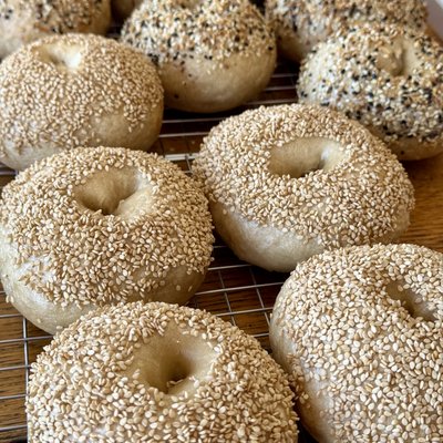 Sourdough Bagels (Build-a-Pack) 🥯 