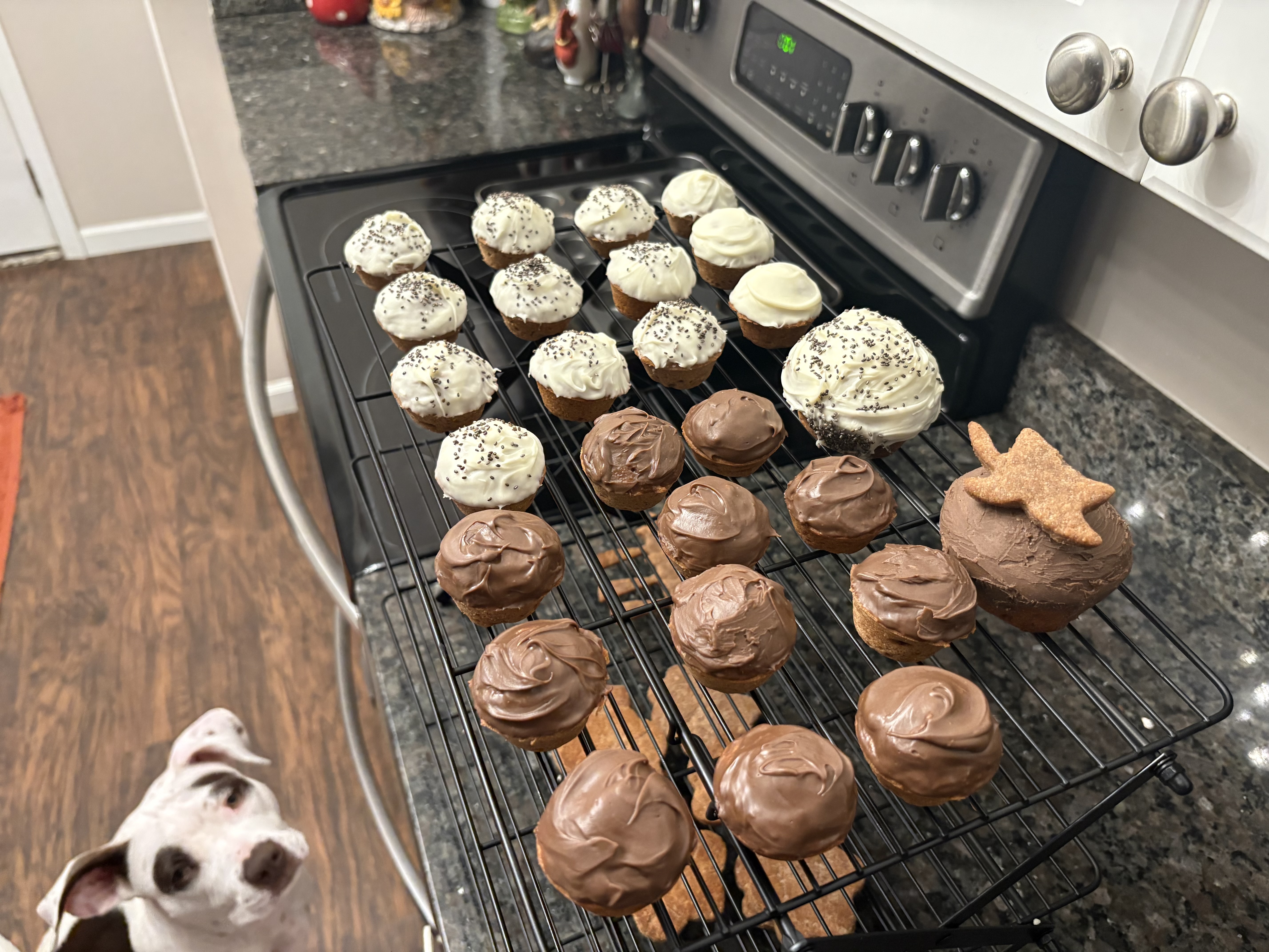 Mini Pup Cakes