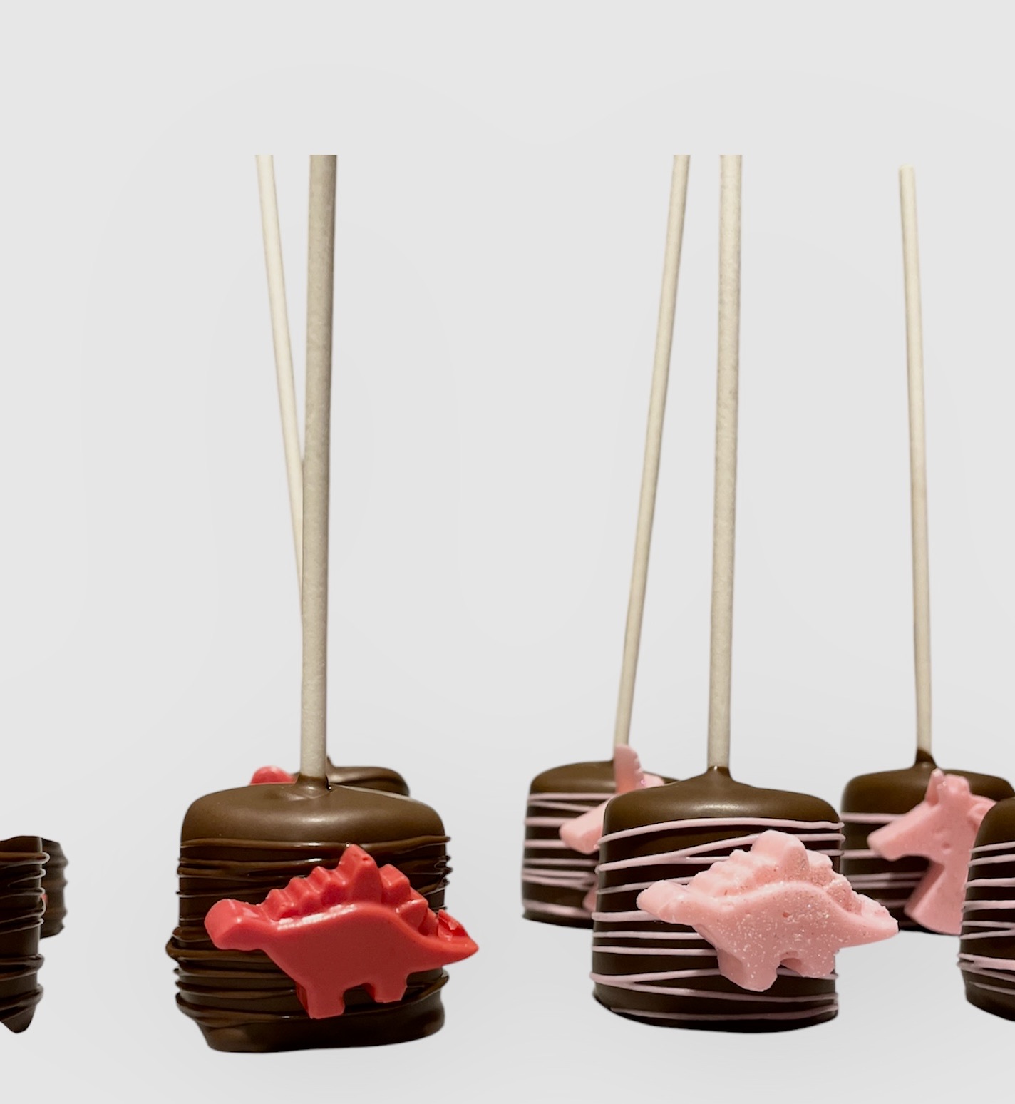Chocolate Covered Marshmallows 