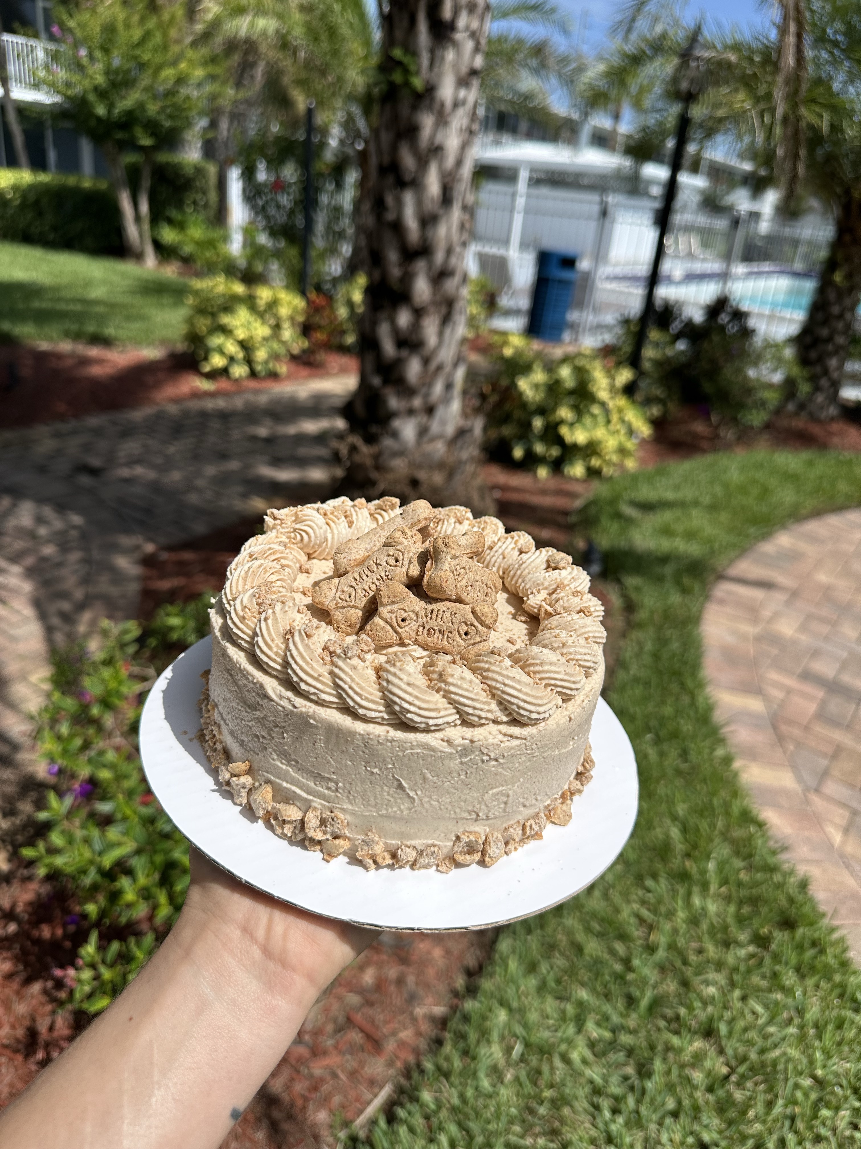 6” Dog Cake