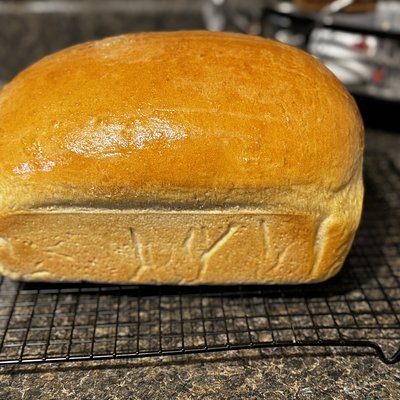 Sandwich Bread