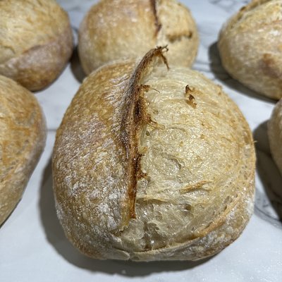 Classic Sourdough Loaf
