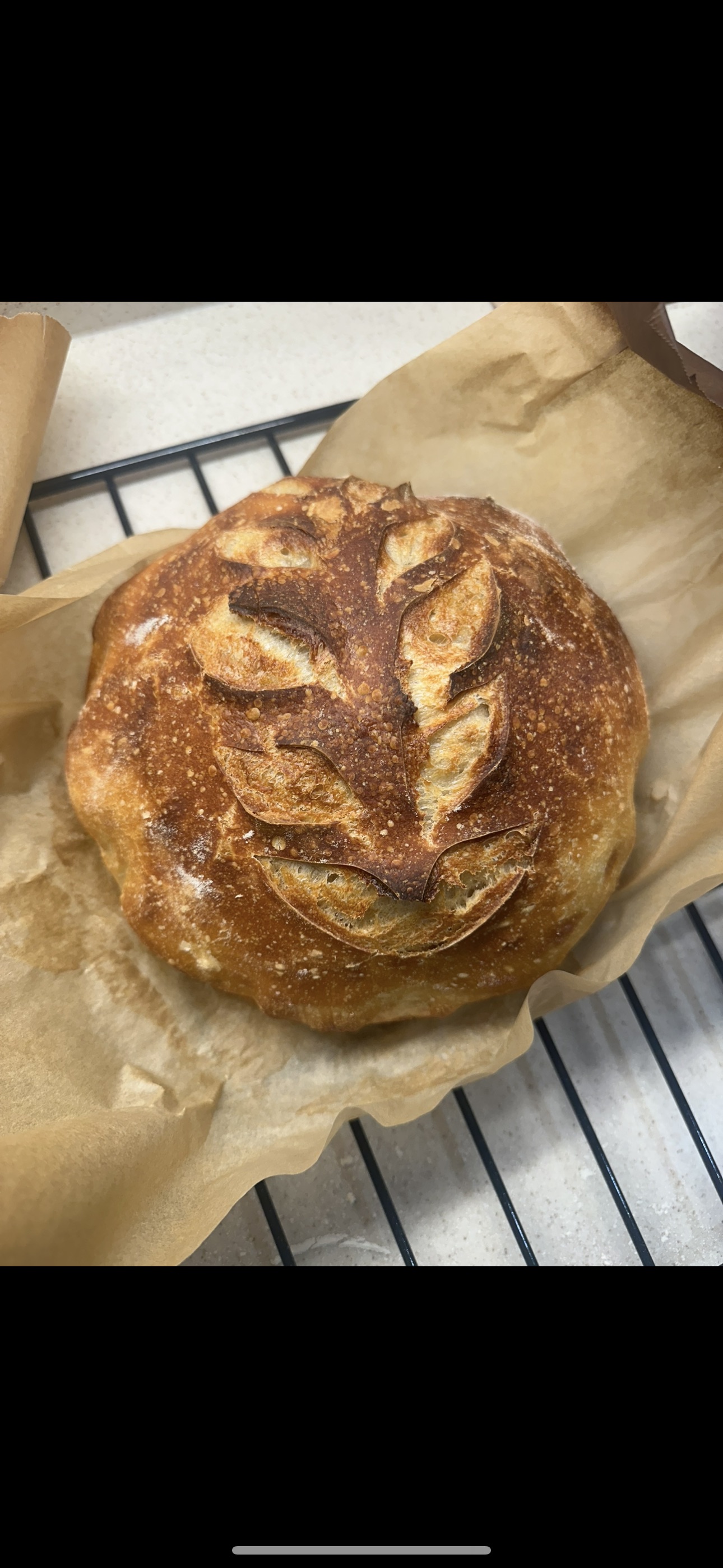 Plain Sourdough