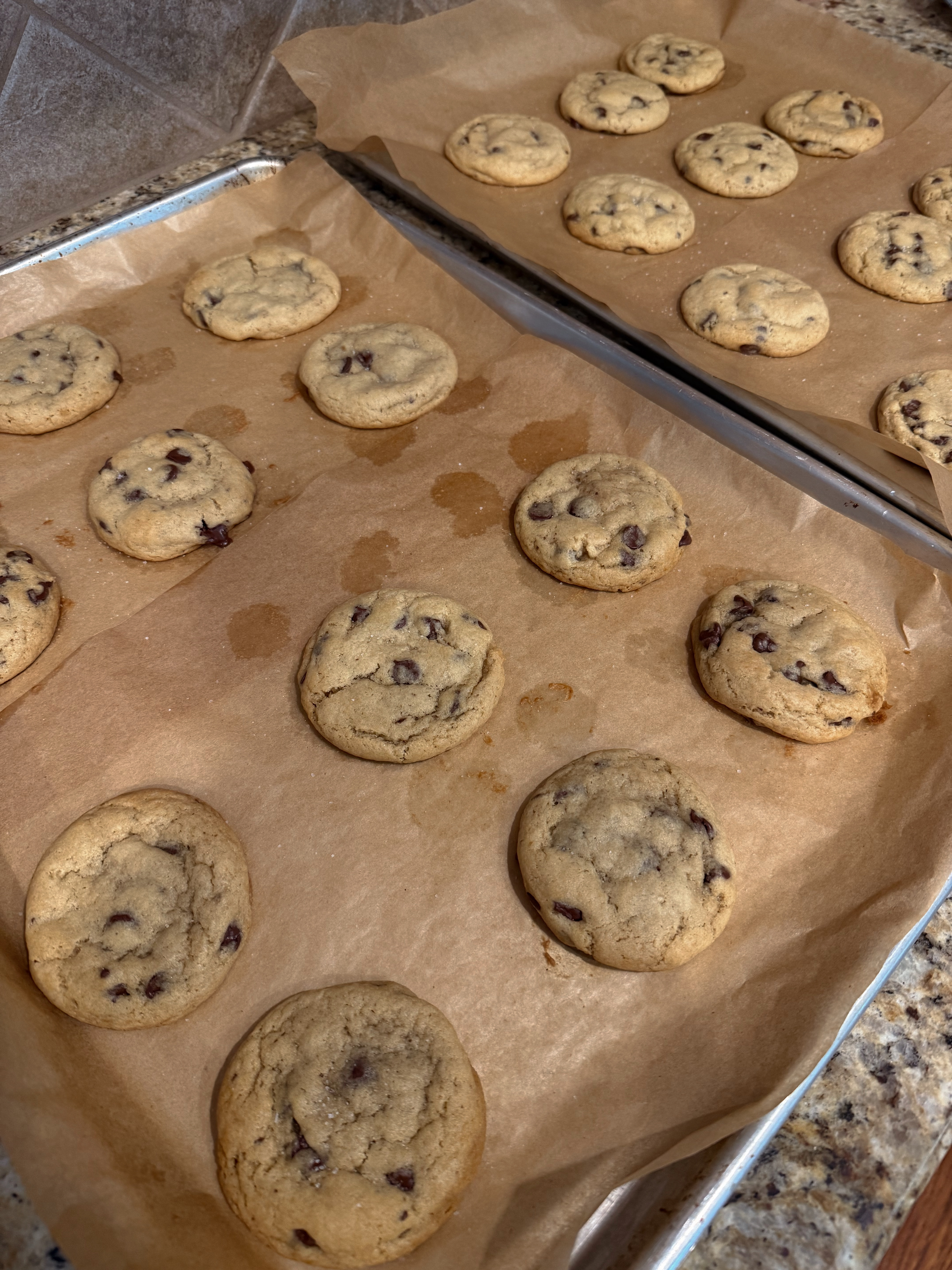 1 Dozen Sourdough Chocolate Chip Cookies 