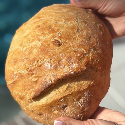 Traditional Artisan Bread 