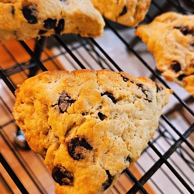 Sourdough Scones - Chocolate Chip