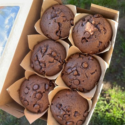 6ct. Double Chocolate Chip Sourdough Muffins