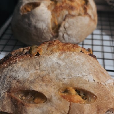 Cheddar/jalapeno Sourdough Loaf