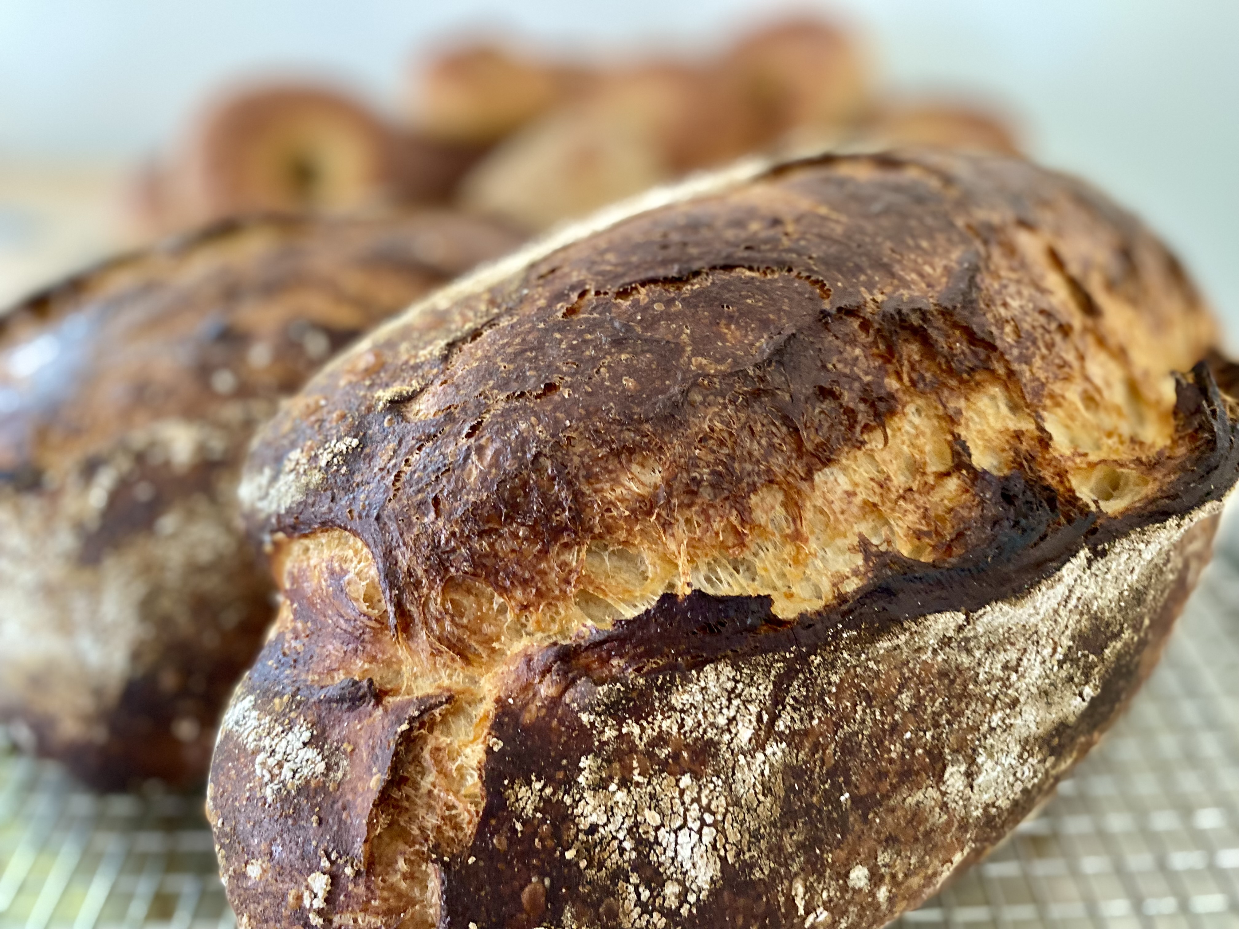 Sourdough Batard