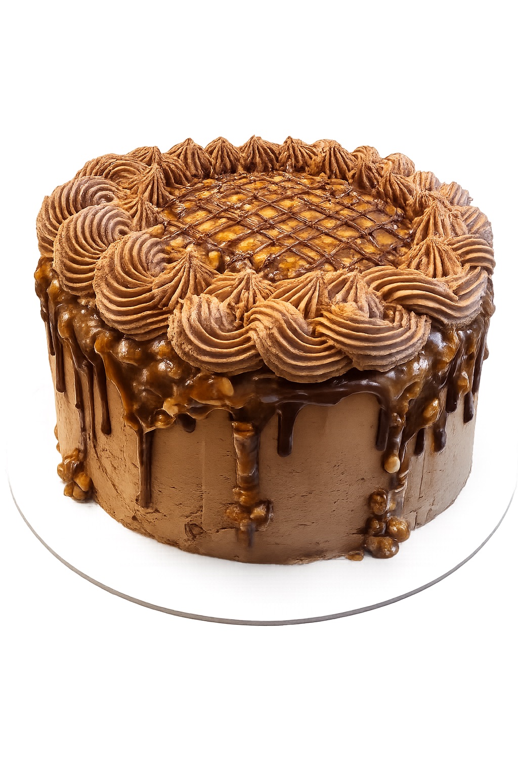 Turtle Cake