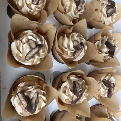 Gourmet Cupcakes 