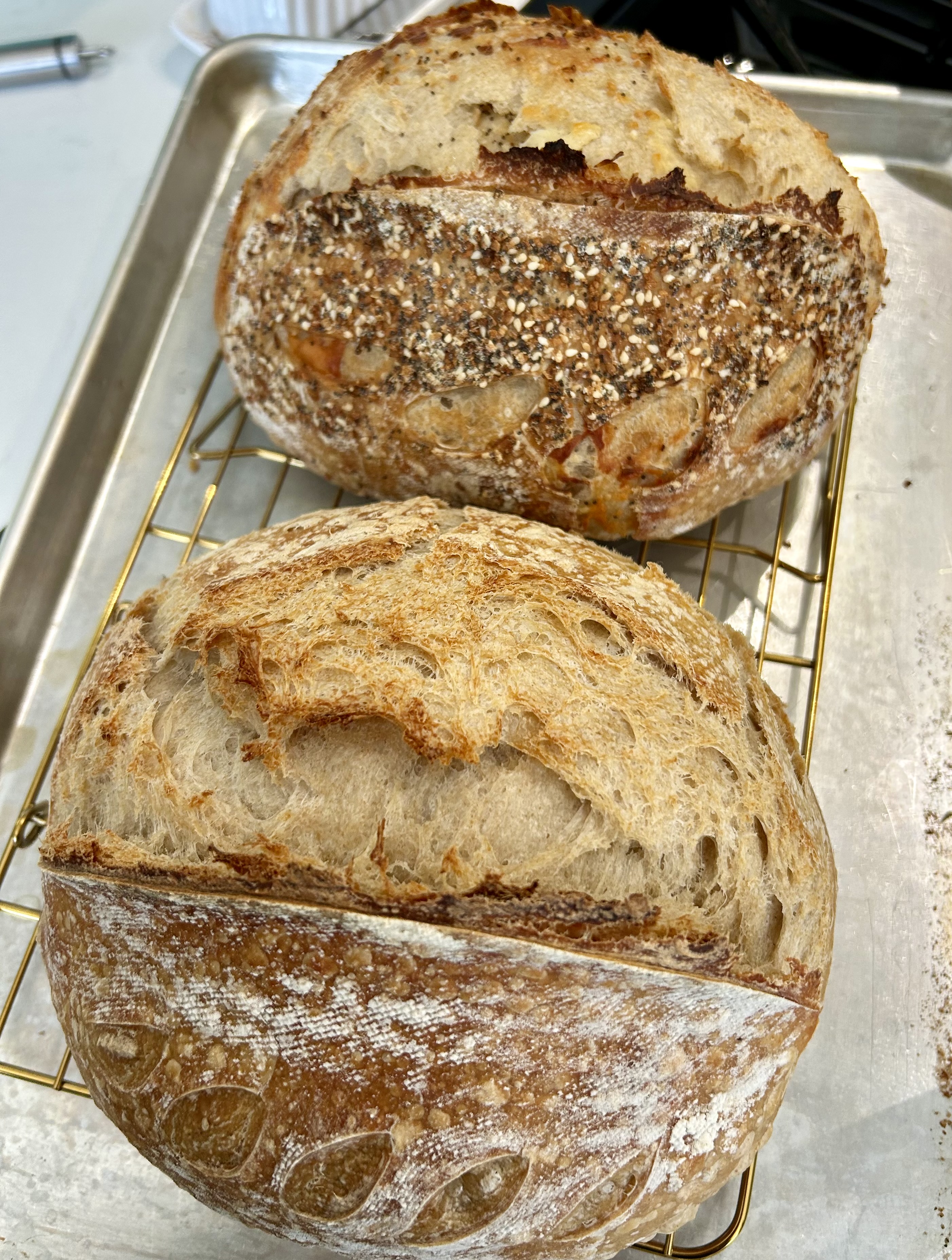 Everything bagel With Asiago Blend