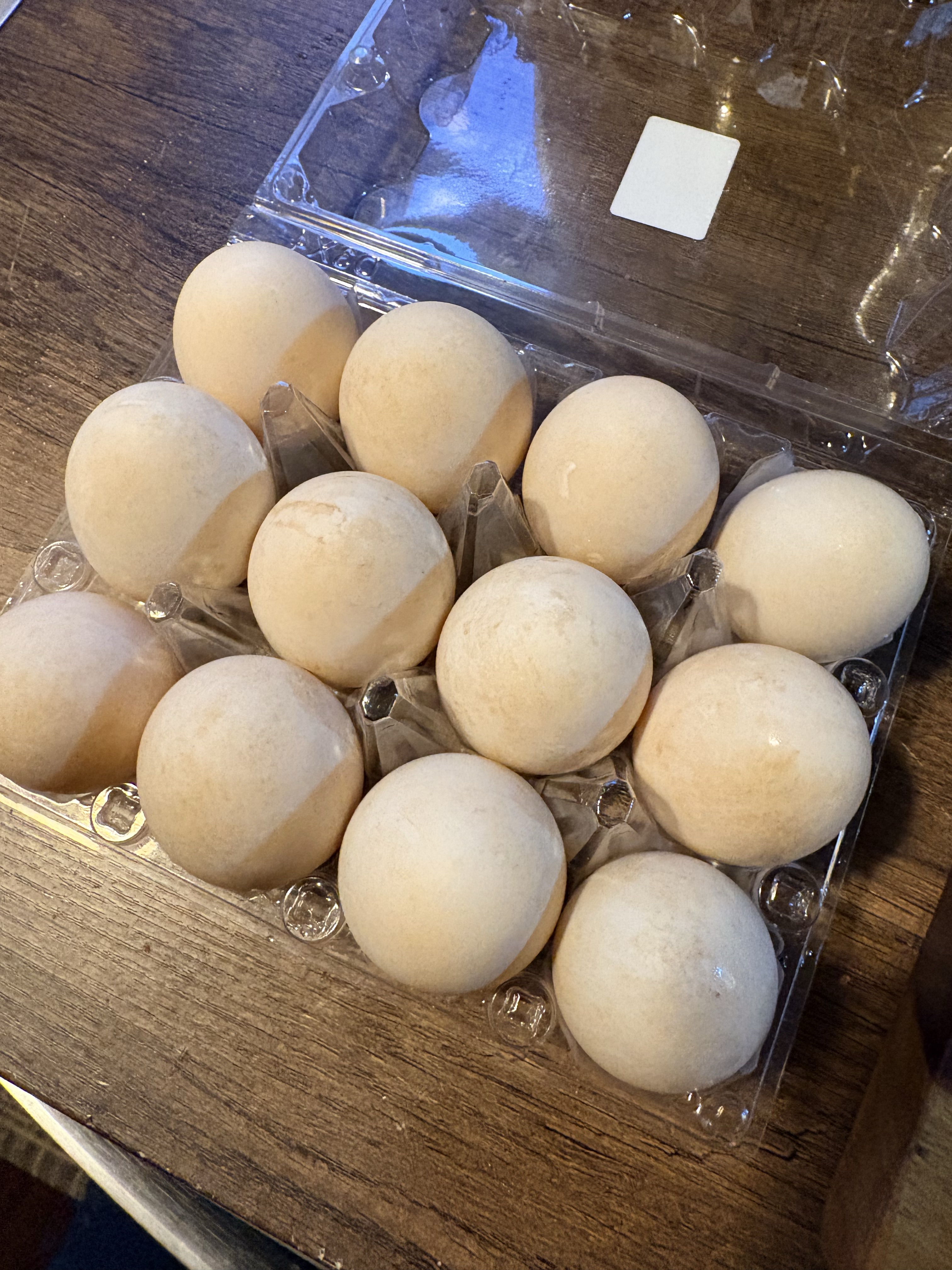 Duck Eggs 1 dozen washed 