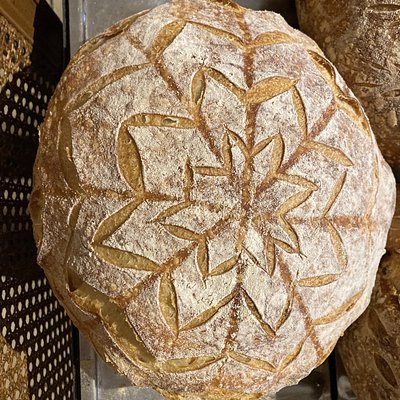 Sammy Bakes Weekly Subscription Service