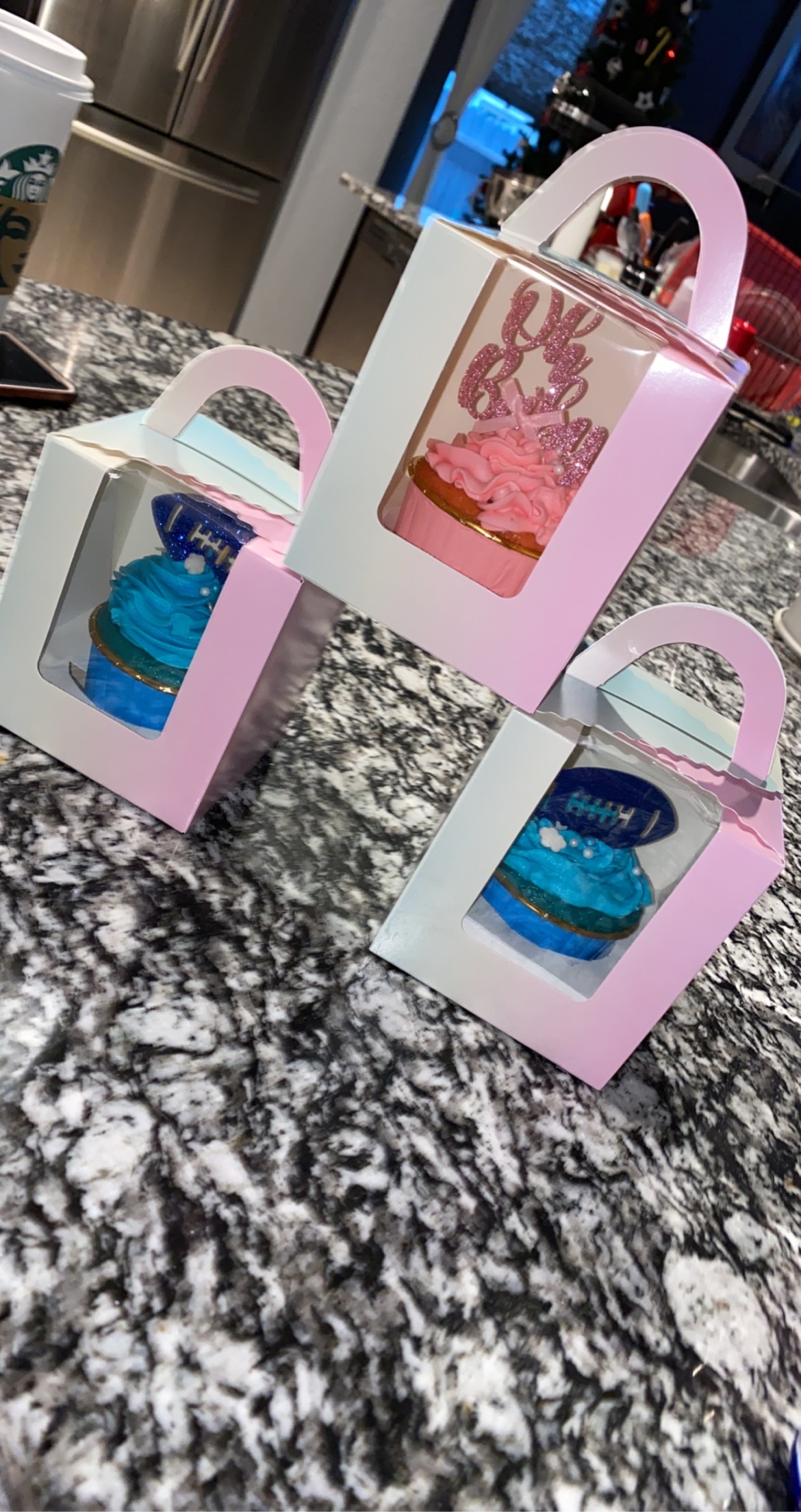 Cupcakes Boxed 
