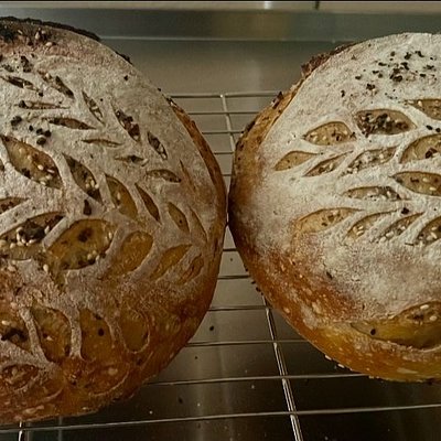 Everything Sourdough