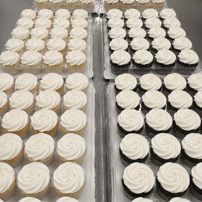 Everyday Cakecakes (Each)