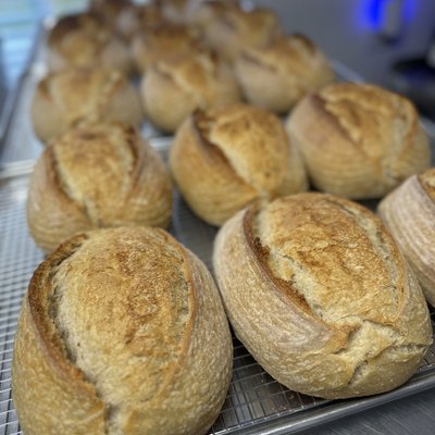 Sourdough 101 Tuesday December 9th @ 4:00